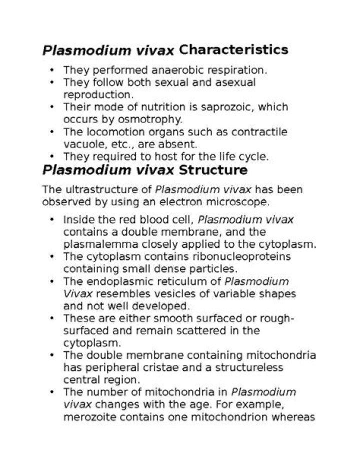 VivaX | Marc Murphy Bio (Wiki)