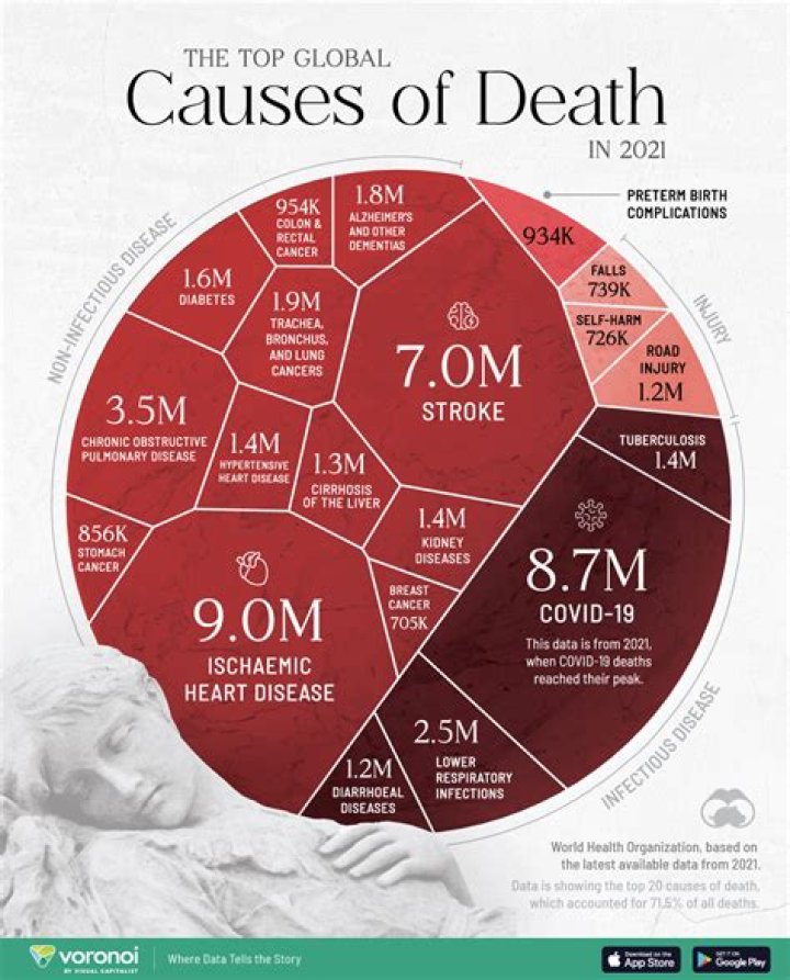 What is Her Cause of Death?